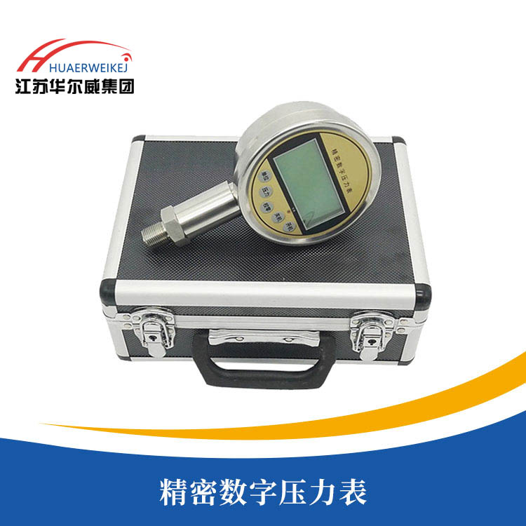 精密數字壓力表